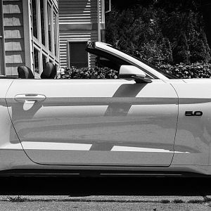 My Mustang
