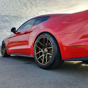 Matt Mustang
