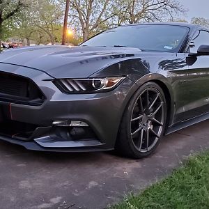 My Mustang