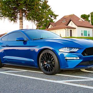 My Mustang