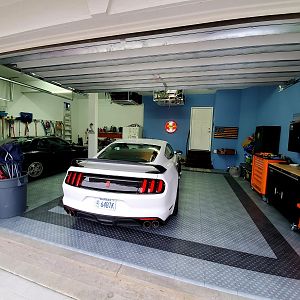 Shelby