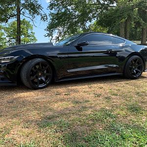 16 GT Premium Build