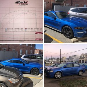 Bloo Mustang