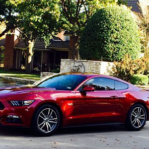 2015 GT Base 6MT, Ruby Red with Ceramic Interior. In partial shade.
