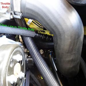 UPR Ecoboost Mustang Dual Valve Catch Can (5030-104)

Showing Clean Side Check Valve to Throttle Body that closes under Boost to properly evacuate y