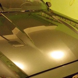 clearBra2