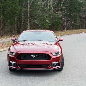 Ruby 2015 Mustang GT