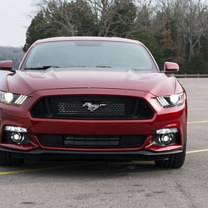 Ruby 2015 Mustang GT