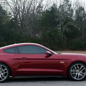 Ruby 2015 Mustang GT