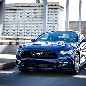mustang