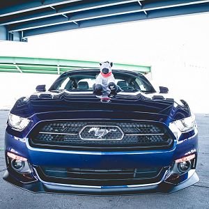 Dad'sMustang 0417