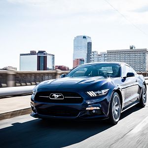 Dad'sMustang 0481