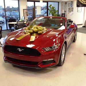 I liked the car anyway, but the bow sealed the deal...LOL