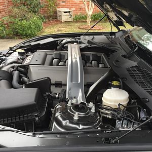 Engine & Hood Struts