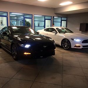This is her in the holding spot right before I drove her home. Another guy was there buying the white one. I liked them beside each other.
