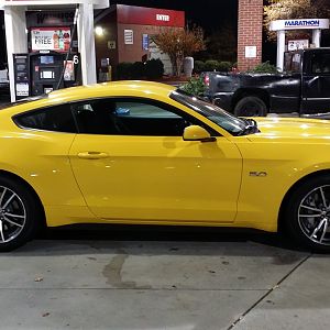 mustang1