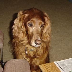 The original Maggie_Mae