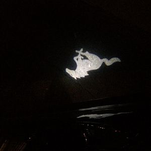 Sorry this is upside down....
But, a good pic of the Pony Projection Lights at night. They are brighter than I though.
