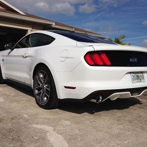 mustang 10
