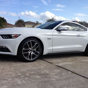 mustang 4
