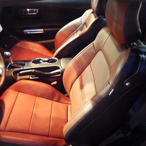 Bronze Fire Leather