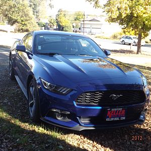 1234 017