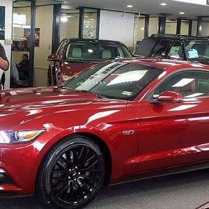picking her up from Casa Ford