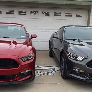 Ruby and Storm (my wife's V6)