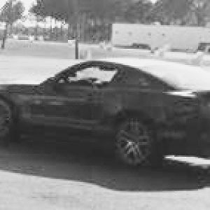 Mustang3 copy