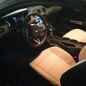 Wasn't sure at first, but I love the two tone interior leather.