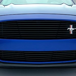 2015 Mach 1 grill