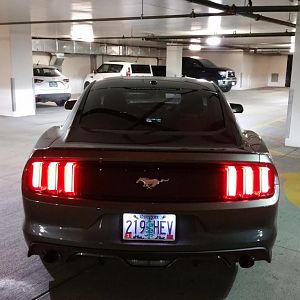 Tint 15% rear window