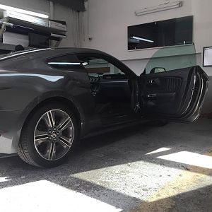Getting tints Done