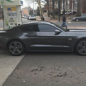 Tints 20%