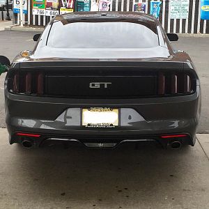 Tinted Tails