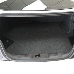 Trunk