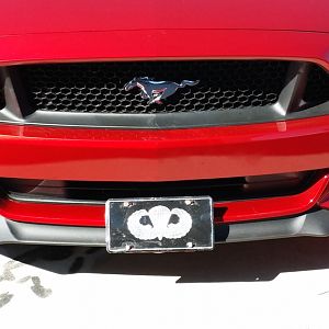 this the plate installed