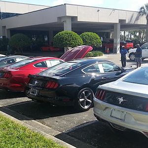 2015 Mustang dealership poll
