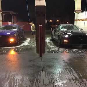 Washing car with the other Stang