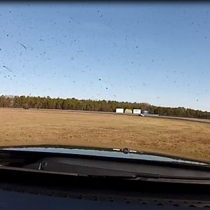 Going agricultural