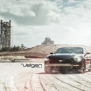 2015 Mustang GT Magnetic Grey on Velgen Wheels
VMB5s Matte Gunmetal 
20x9 & 20x10.5

http://velgenwheels.com