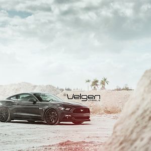 2015 Mustang GT Magnetic Grey on Velgen Wheels
VMB5s Matte Gunmetal 
20x9 & 20x10.5

http://velgenwheels.com