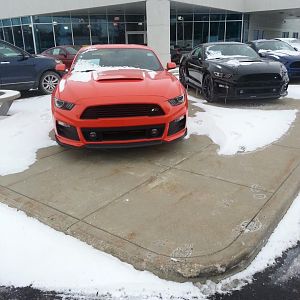 20150216 150655 (Large)