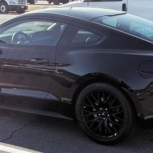 Mustang GT side