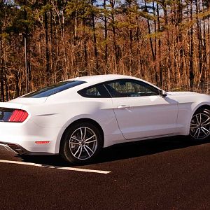 2015 Ford Mustang EcoBoost Premium w/201A