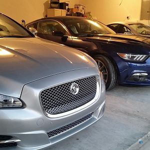My Stable 2