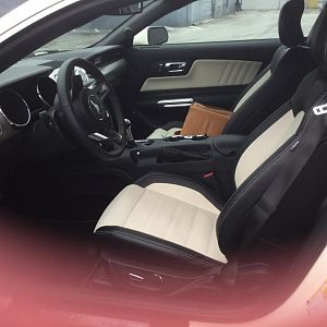 Dream Interior