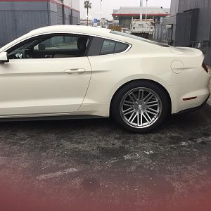 50th anniversary Limited edition