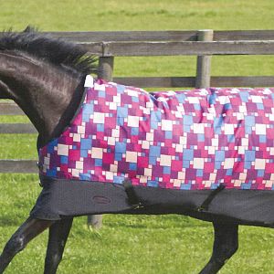 winter blanket