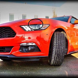 CoConvertible3